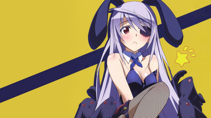Laura Bodewig from Infinite Stratos in a bunny suit