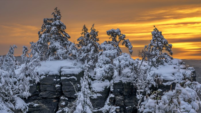 Snow-covered trees on rocky outcrops at sunset