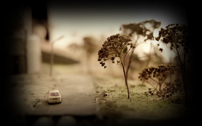 Miniature car on a road with dried plants