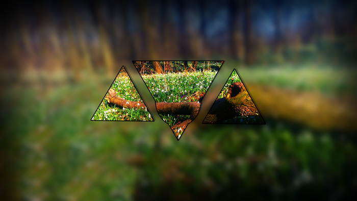 Geometric shapes overlaying a forest scene with snowdrops