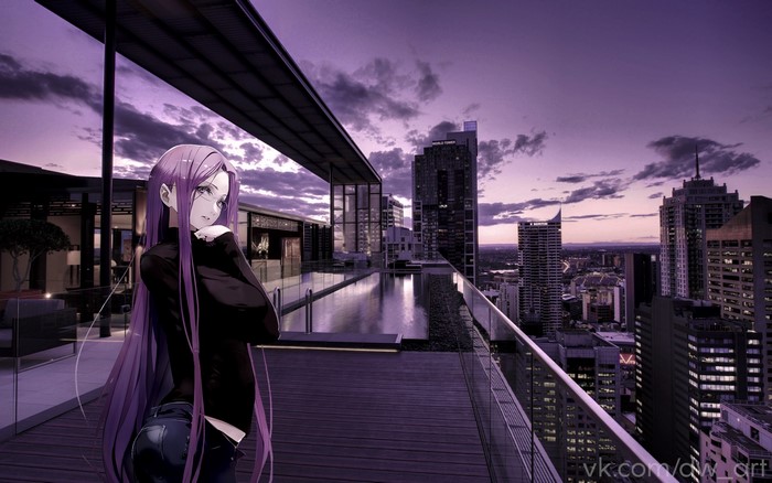 Rider from Fate Series on a rooftop overlooking a cityscape