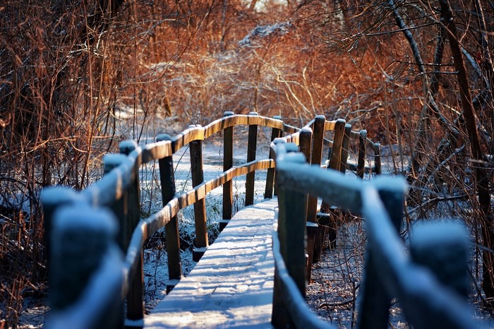 Snow-covered wooden bridge in a winter forest