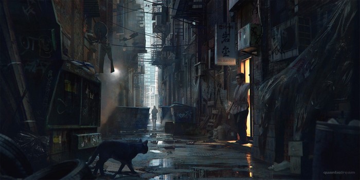 Black cat walks through a dark, wet alleyway with a man standing in a doorway.