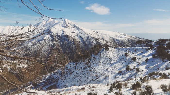 Snowy mountain landscape with bare branches