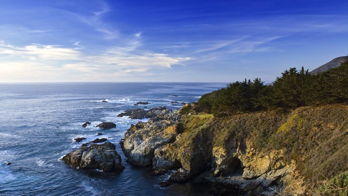 Rocky coast with cypress trees and ocean under blue sky