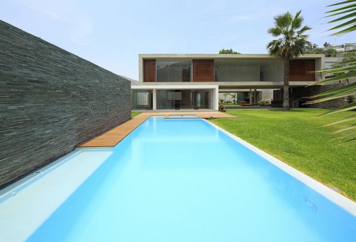 Modern house with swimming pool and palm tree
