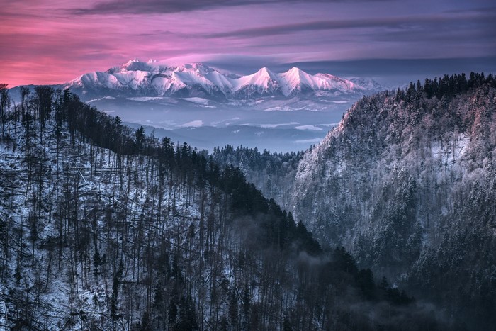Snowy mountains under a pink and purple sky