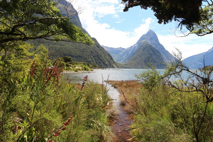 4K Fiordland National Park New Zealand Landscape