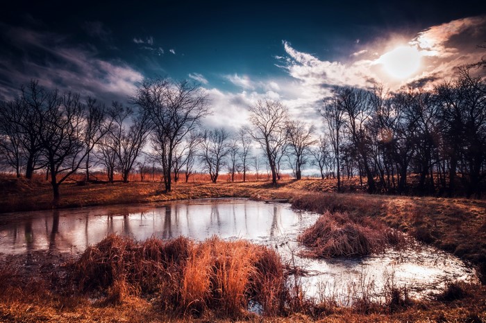 Bare trees surrounding a pond under a dramatic sky