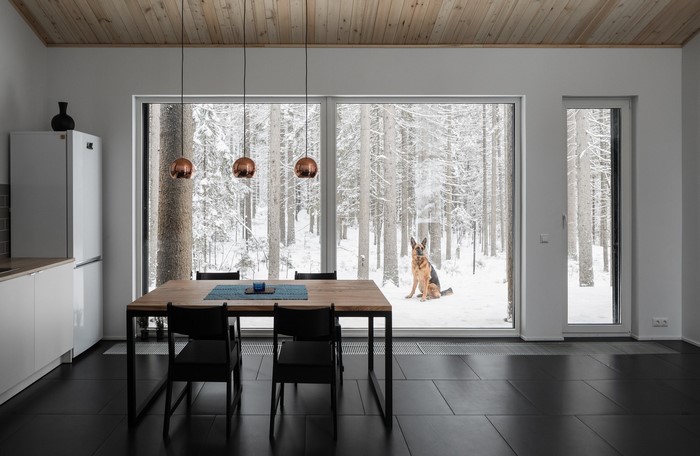 German Shepherd dog sitting in snow outside modern house