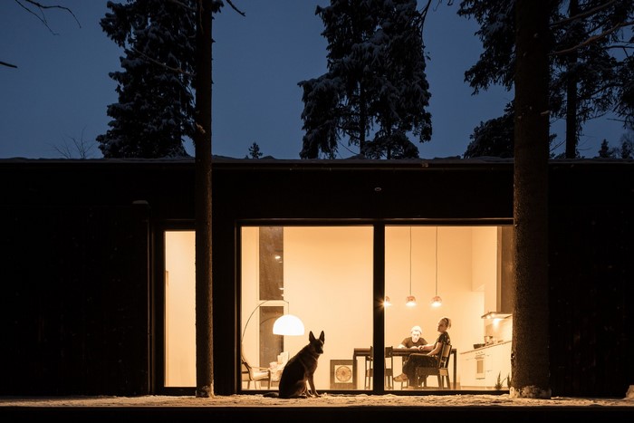 Family and dog in modern house at night
