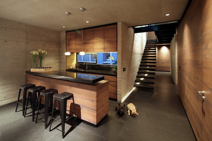 Modern kitchen with bar and stairs, two bulldogs