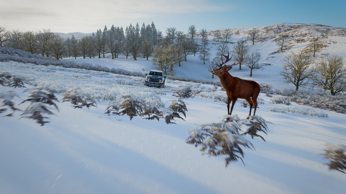 4K screenshot of a deer and Ford Raptor in Forza Horizon 4