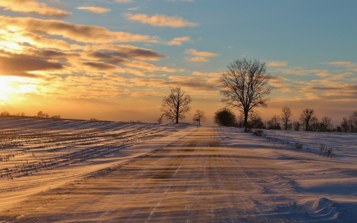 Snowy road at sunset with bare trees