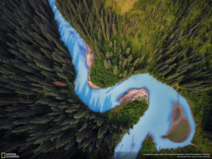 Aerial view of a turquoise river winding through a dense forest in British Columbia