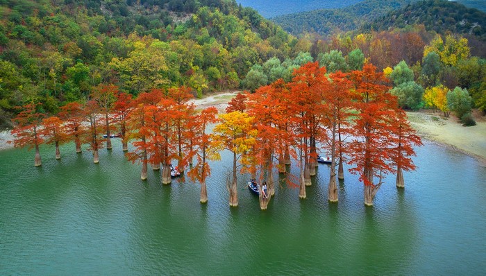 Autumn trees in a lake with people in boats