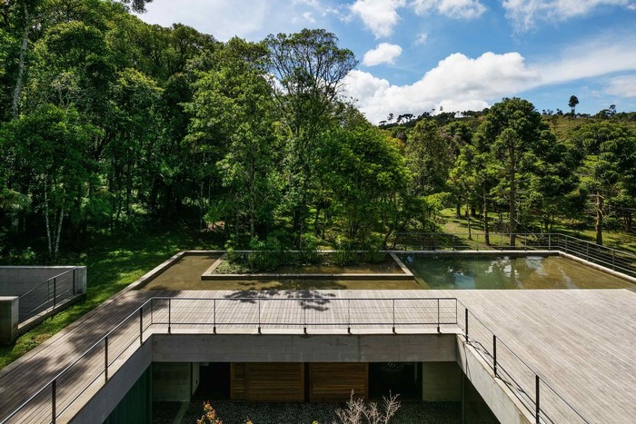 Modern house with swimming pool and lush forest