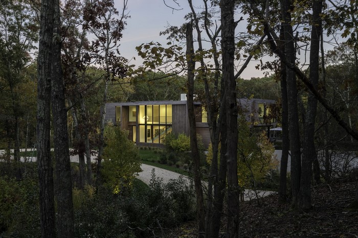 Modern luxury house in a forest setting