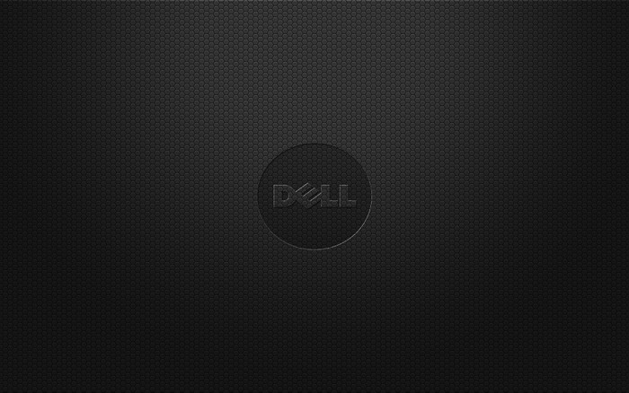 Dell logo on a dark textured surface
