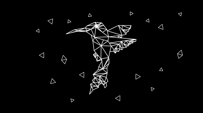 Low poly hummingbird with triangles on black background
