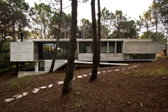 Modern concrete house in a forest