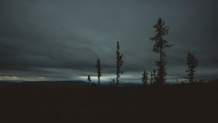 Dark landscape with silhouetted trees and overcast sky