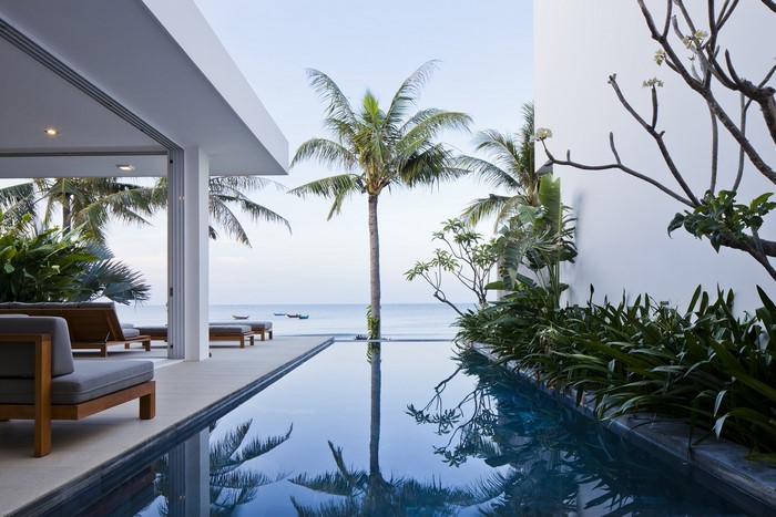 Modern luxury house with swimming pool and palm trees by the ocean