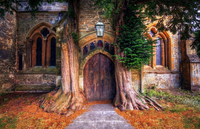 Ancient church entrance with large trees and arched wooden door
