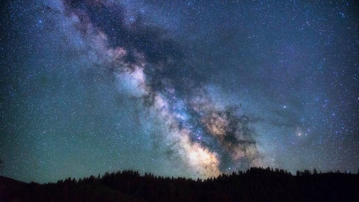 The Milky Way galaxy over a dark forest silhouette