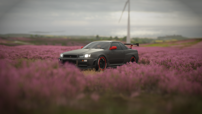Nissan GT-R R34 in a field of purple flowers