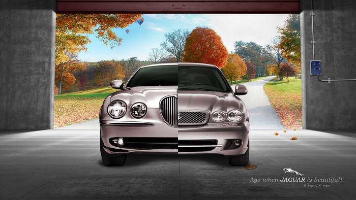 Jaguar S-Type and X-Type cars in autumn setting