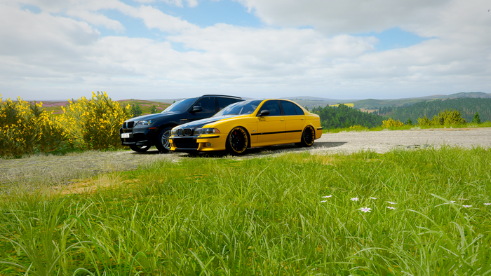 BMW 5 Series and BMW X5 in Forza Horizon 4