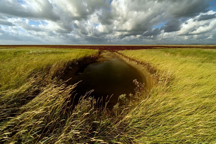 Grassy field with a small pond under cloudy sky