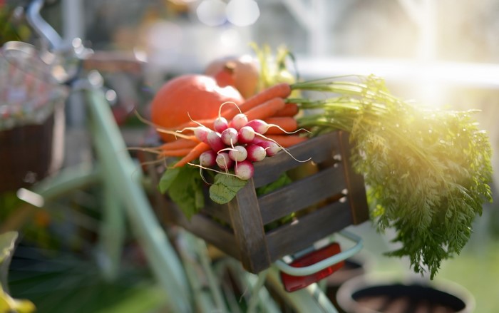 Vegetables in a basket on a bicycle