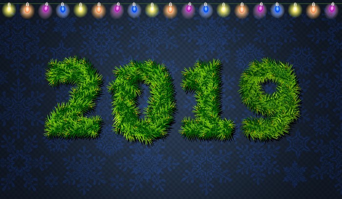 2019 New Year Pine Garland with Lights