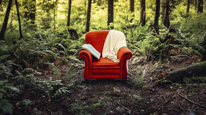 Red armchair with book and blanket in a forest