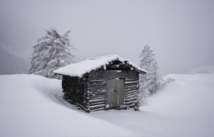 4K monochrome winter landscape with cabin and pine trees
