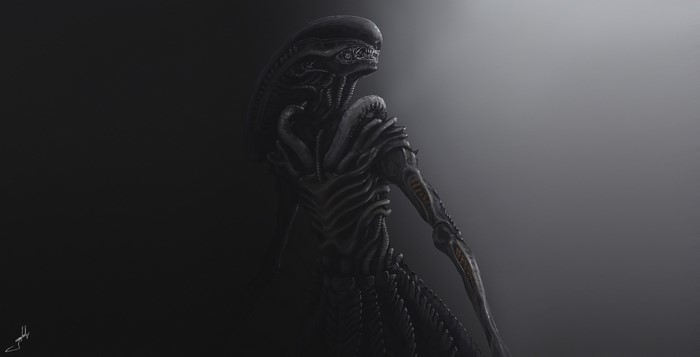 Xenomorph from Alien artwork