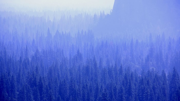 Blue forest with mountain peak