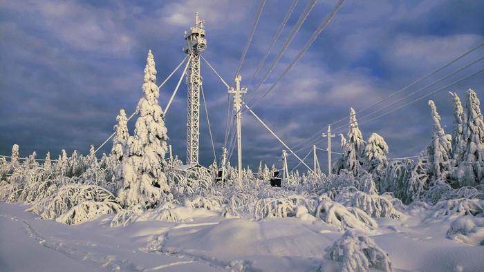 Snow-covered trees and a radio tower in winter