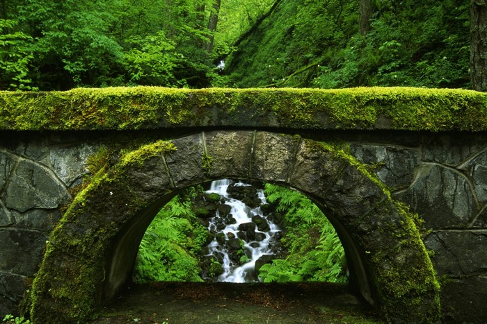 Stone bridge covered in moss over a waterfall in a forest