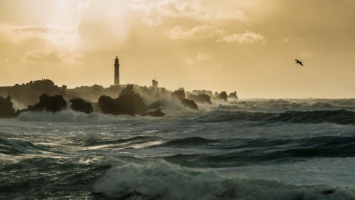 Lighthouse on a rocky coast with waves and a bird
