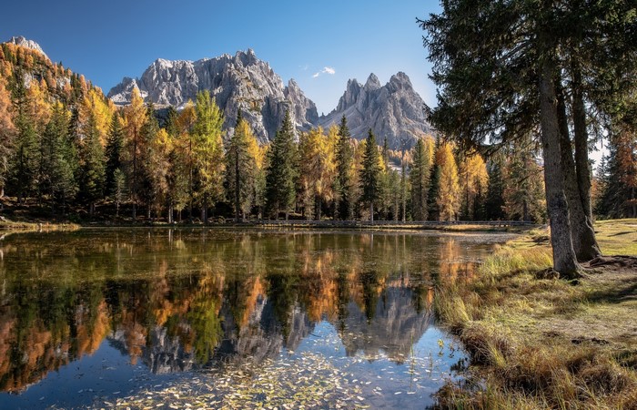 Autumn trees reflecting in a mountain lake in the Dolomites