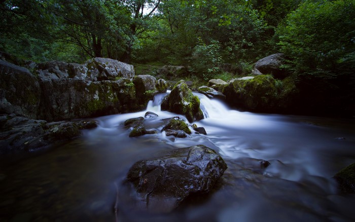 River flowing over mossy rocks in a forest