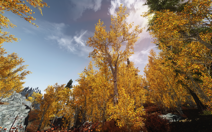 The Elder Scrolls V: Skyrim screenshot