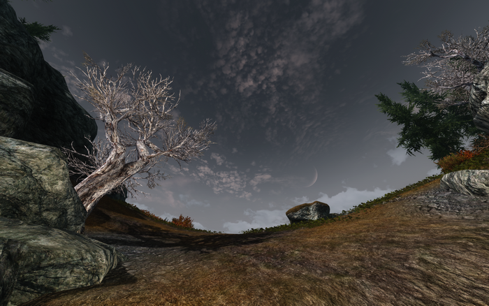 The Elder Scrolls V: Skyrim landscape with barren tree