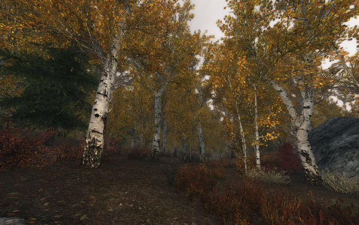The Elder Scrolls V: Skyrim screenshot