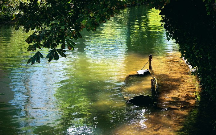 Sunlight on a river with overhanging tree branches