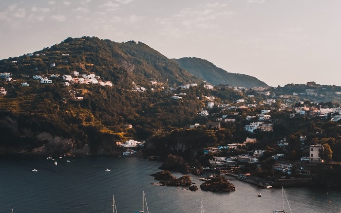 Coastal town on a mountainside overlooking a bay with boats