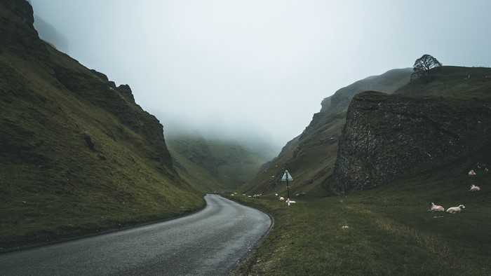 Road through a misty valley with sheep and a sign